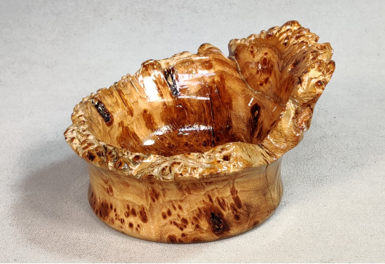  Handmade Wooden Bowl / Elm Burl Wood
